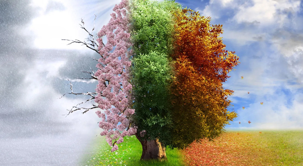 Changing Seasons