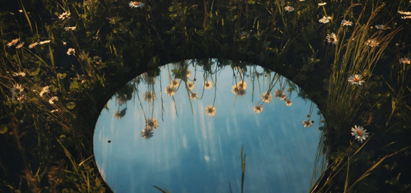 Mirror of Relationships